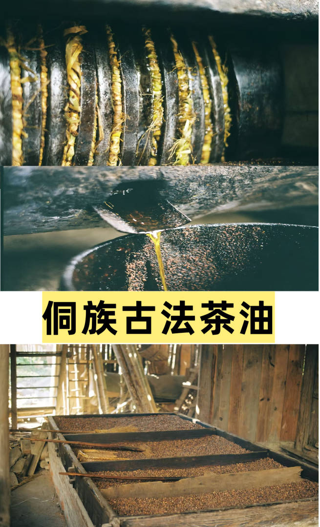拉布布侗族古法茶油